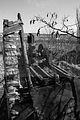 heilanstalt milbitz_197